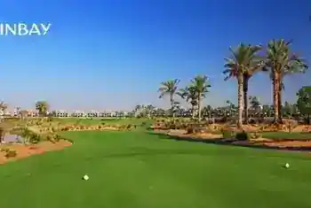 SEASHELL RAS EL HEKMA 14